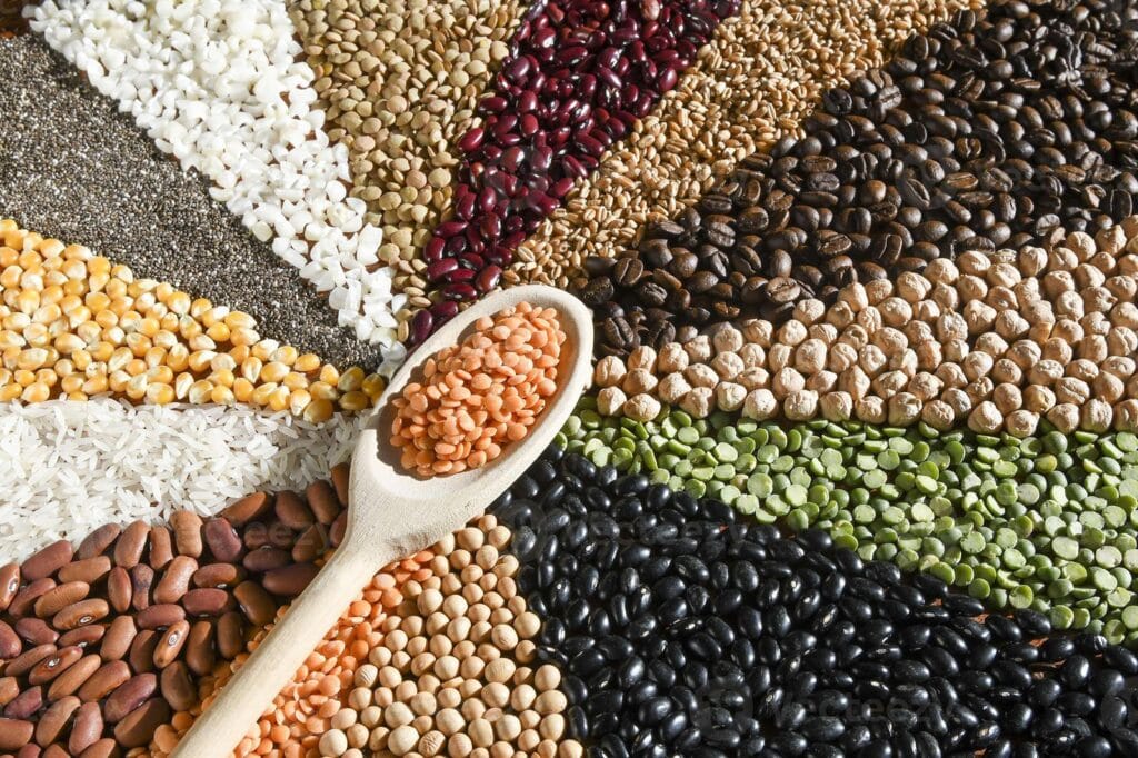 Sagar brand fresh and nutrition pulses for bulk ordrs 